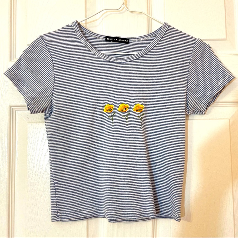 Brandy Melville Blue Stripe Crop Top